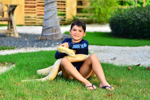 Punta Cana: Buggy After Dark with Snake Encounter & Buffet