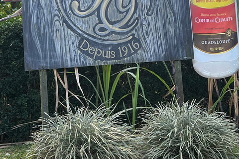 Guadeloupe half-day: immersive tour in the heart of sugar cane An immersive half-day in the heart of Guadeloupe's sugar cane