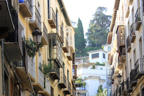 Ab Nerja: Tagestour nach Granada