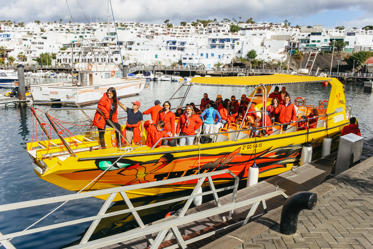 Lanzarote : mini-croisière d'observation des dauphins d'une heure et demieLanzarote : croisière de 2 h d’observation de dauphins