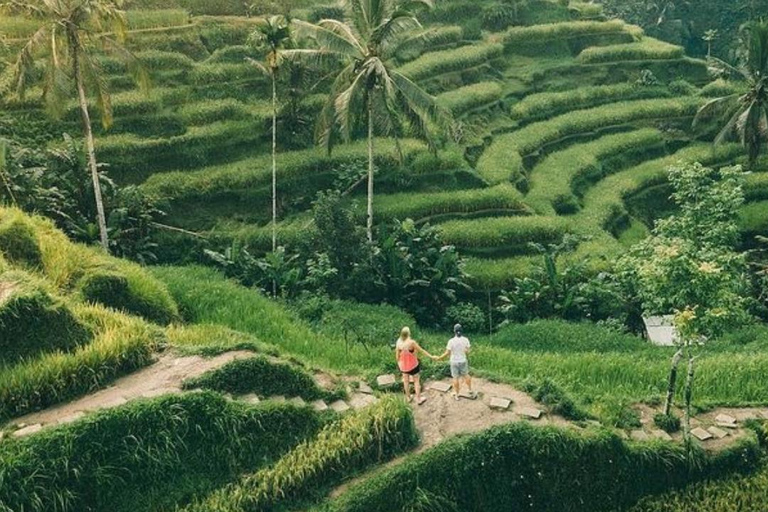 Ubud: Foresta delle scimmie, terrazze di riso, tempio e cascata PetanuUbud: Foresta delle scimmie, terrazze di riso, tempio e cascata di Petanu
