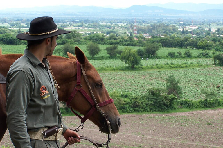 Salta: Full-Day Horseback Ride with Mountain Picnic