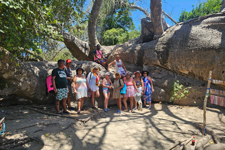 Zanzibar: Safari Blue Day trip with Snorkeling + Lunch Shared tour with ALL INCLUSIVE