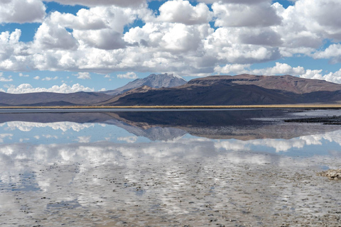 Explore Arequipa: A Day in Salinas with Flamingos, Hot Springs, and Photos Included