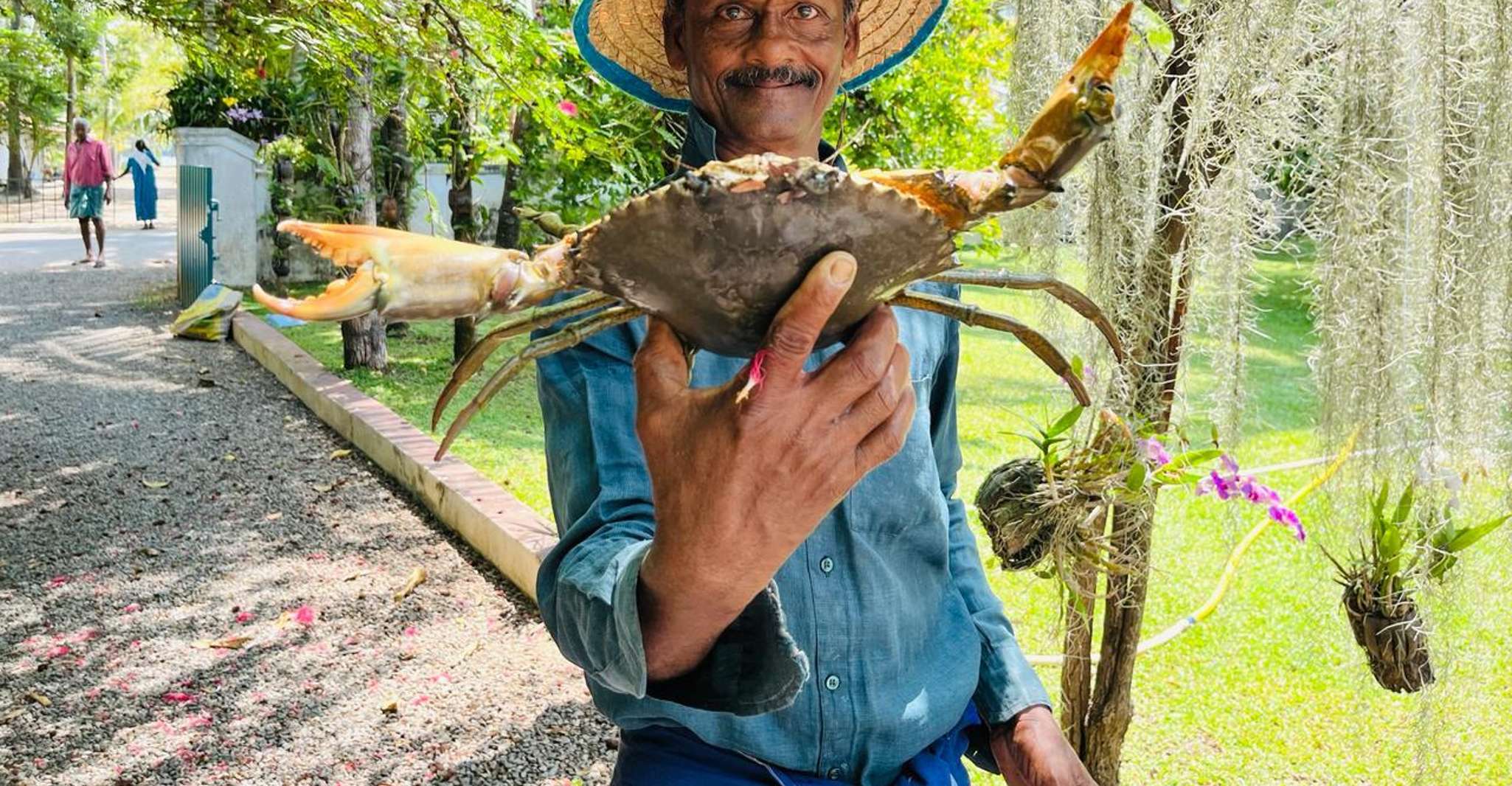 Kumbalangi, visite guidée du premier village touristique de l'Inde - Housity