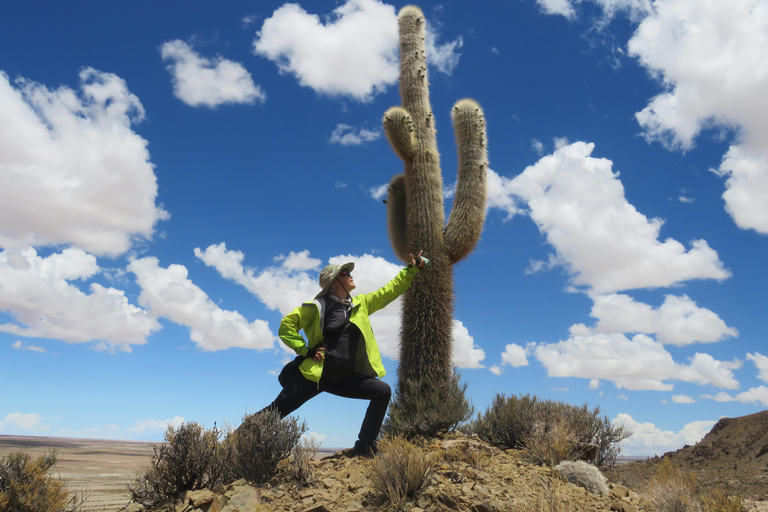 Da La Paz: 2 giorni da Salar de Uyuni ad Atacama Cile in voloViaggio privato