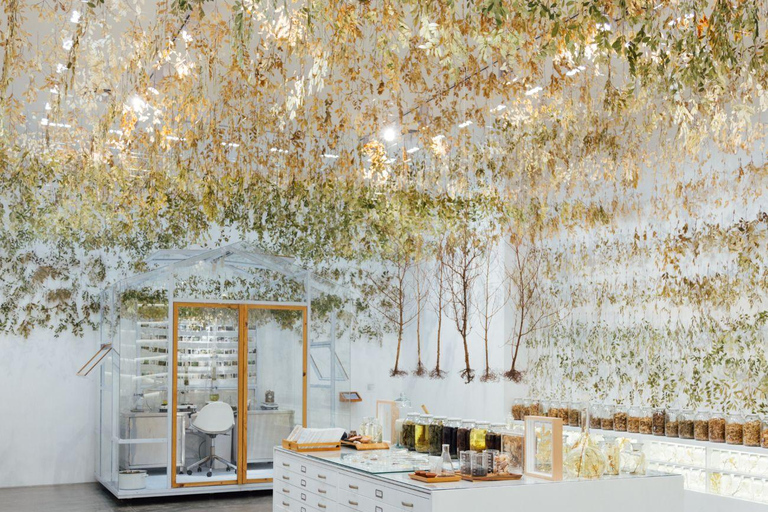 Medellin: Access Ticket to the Museum of Modern Art of Medellin