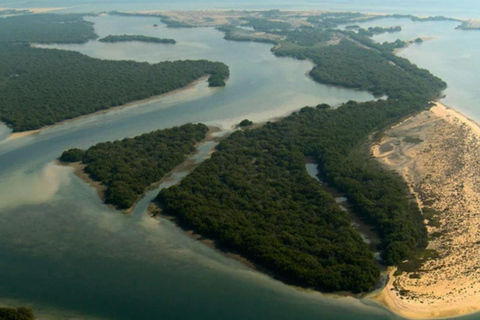 卡塔尔北部探索之旅：历史、遗产和瑰宝北卡塔尔探索之旅：历史、遗产和瑰宝