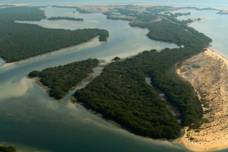 卡塔尔北部探索之旅：历史、遗产和瑰宝北卡塔尔探索之旅：历史、遗产和瑰宝