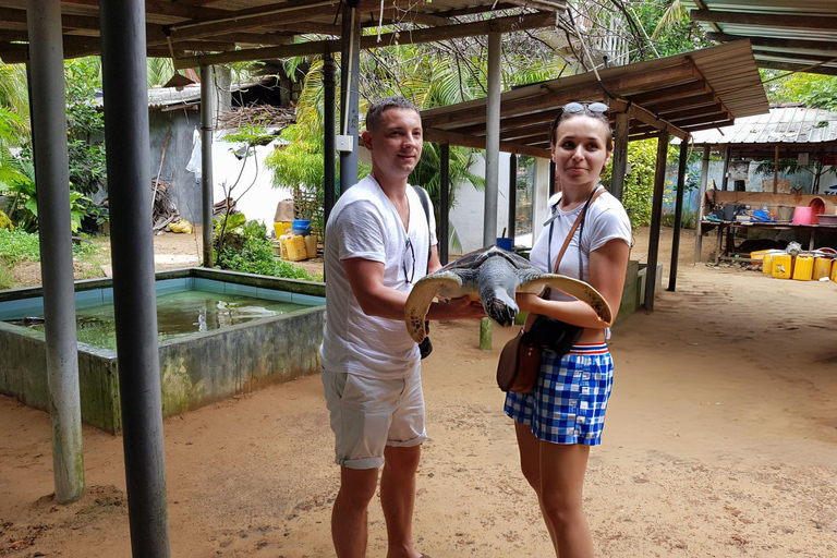 Coastal Escape: Colombo to Galle City Day Tour