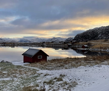 From Leknes: Lofoten Sightseeing Tour