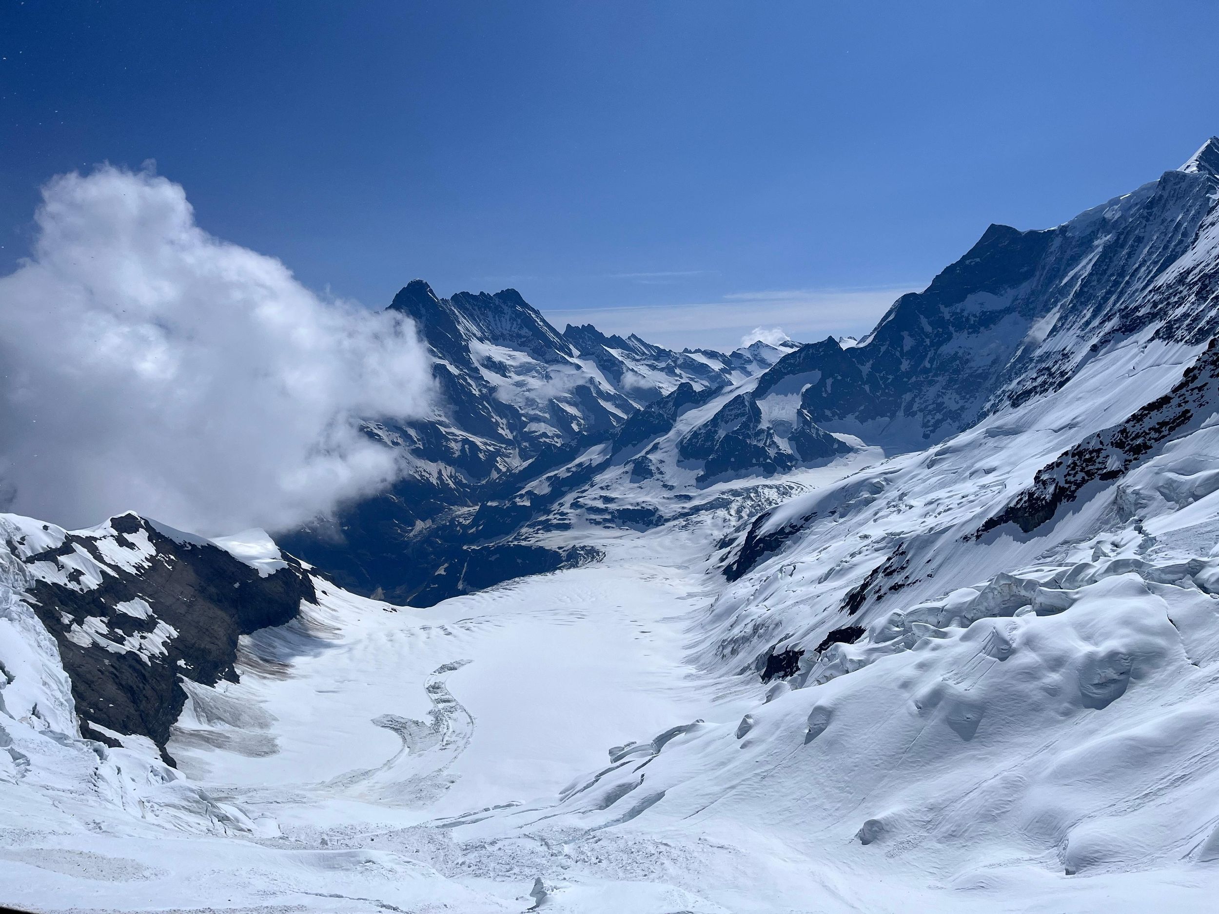 Private Tagestour zum „Top of Europe“, inkl. Schweizer Picknick
