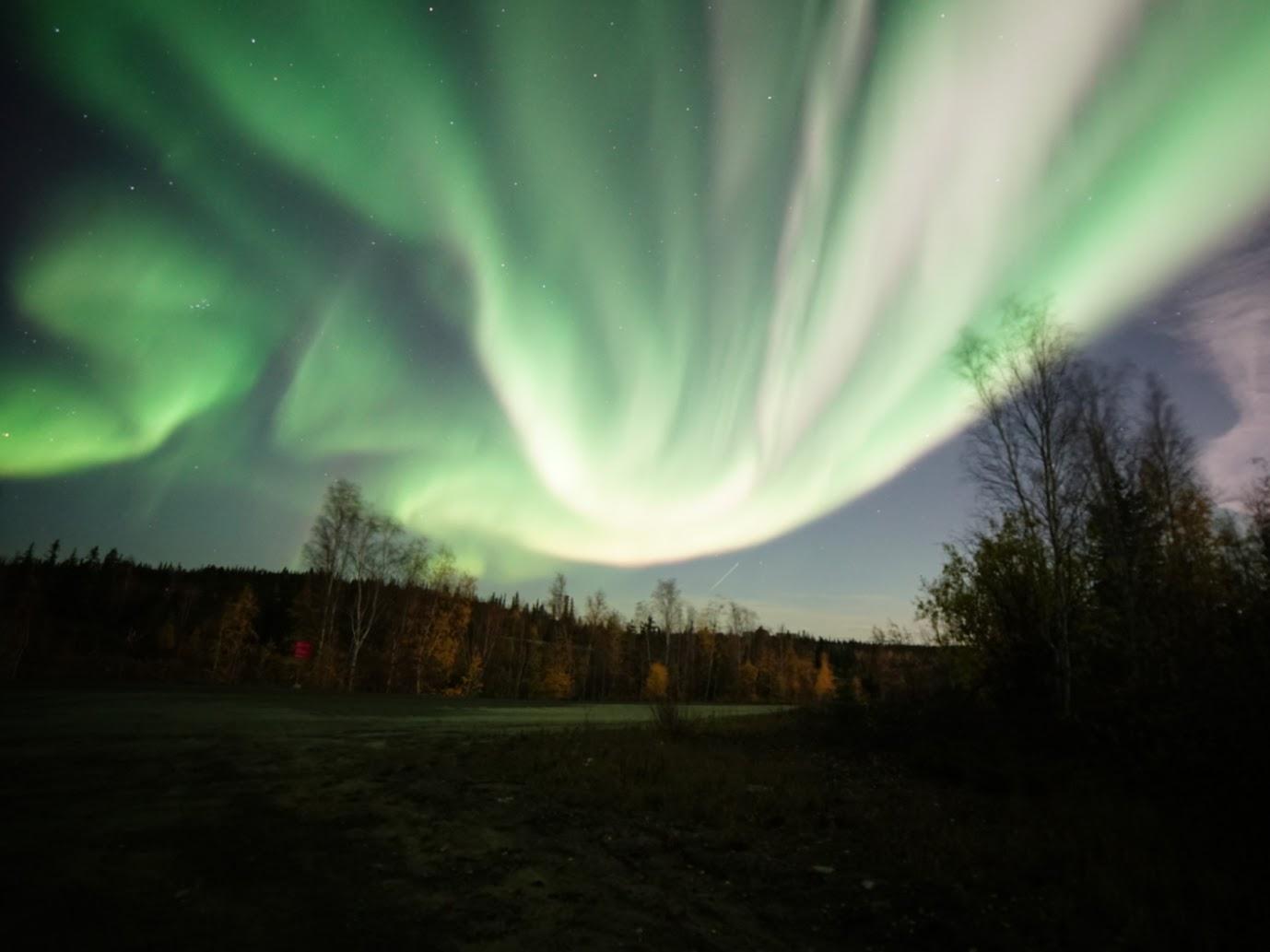 Yellowknife: 4-stündige Bustour zu den Nordlichtern