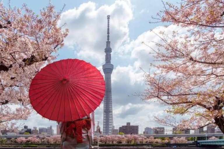 Tokyo Private Tour with English speaking driver Luxury Minivan(1 - 6)