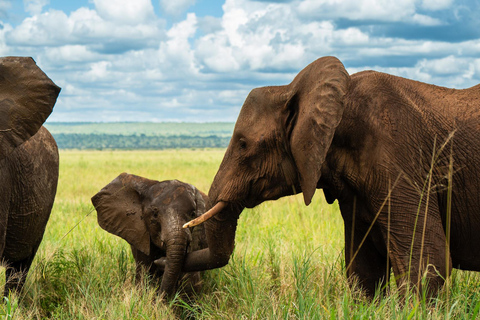 Sansibar: 4-tägige Safari-Reise zum atemberaubenden NatronseeAtemberaubende Lake Natron Safari Reise - Komfortable Unterkunft