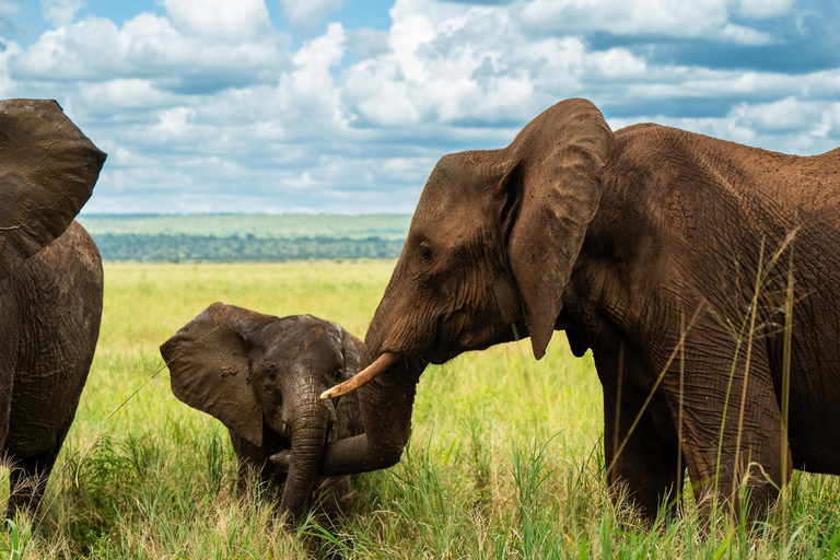 Sansibar: 4-tägige Safari-Reise zum atemberaubenden NatronseeAtemberaubende Lake Natron Safari Reise - Komfortable Unterkunft