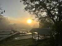 Chiang Mai, Good Morning Elephant de 2 jours et se trafic de la nuit - Housity