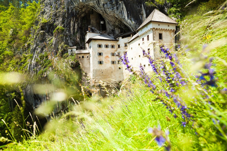Ljubljana: Postojna Cave, Predjama Castle & Piran day tour