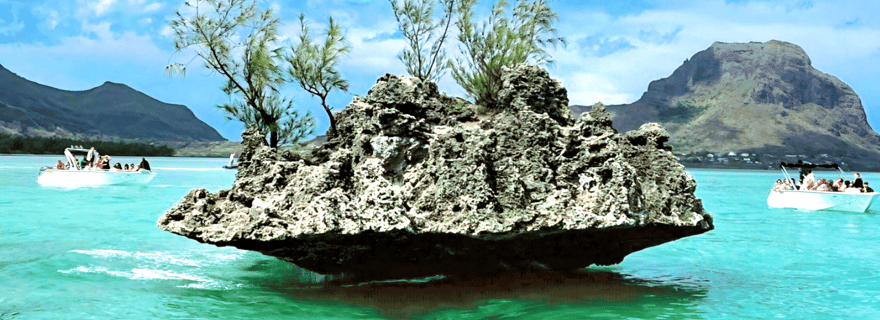 Île aux Bénitiers : Excursion en catamaran avec observation des dauphins et déjeuner