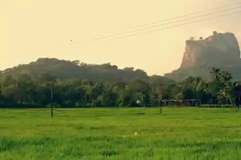 Sri Lanka: 2N3Day guided FULL TOUR with hotel accommodations