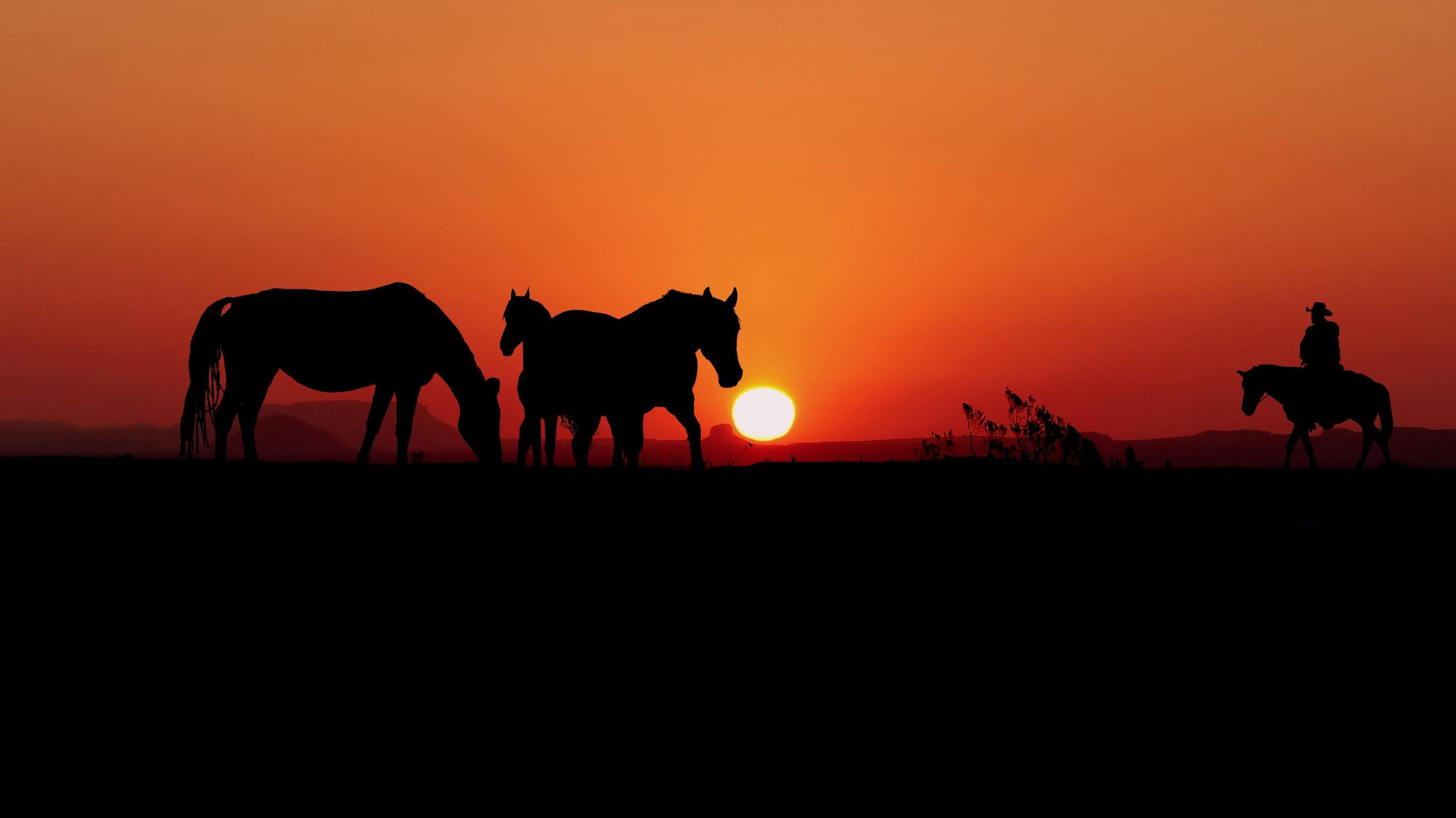 SANSIBAR: 2 TAGE / 1 NACHT IM NYERERE-NATIONALPARK