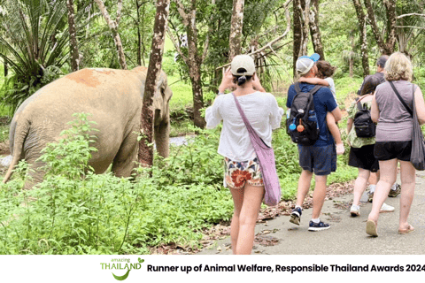 Phuket: Sea Turle Center,Temples,Tsunami & Elephant and More