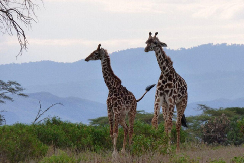 Nairobi: Crescent Island Sanctuary Day Trip with Lunch Nairobi: Crescent Island Sanctuary private day Trip