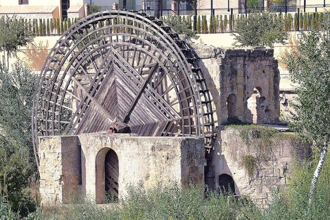 Cordoba's Historical Treasures: A Walking Tour