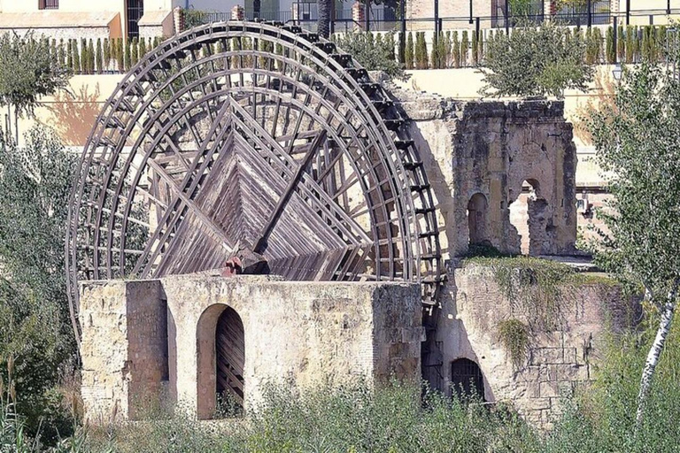 Cordoba&#039;s Historical Treasures: A Walking Tour