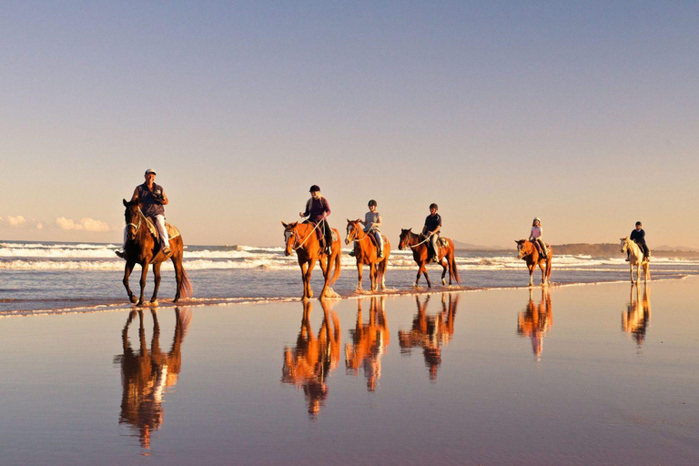 Randonnée à cheval - Vue sur la plage ou la montagne : Le Cap