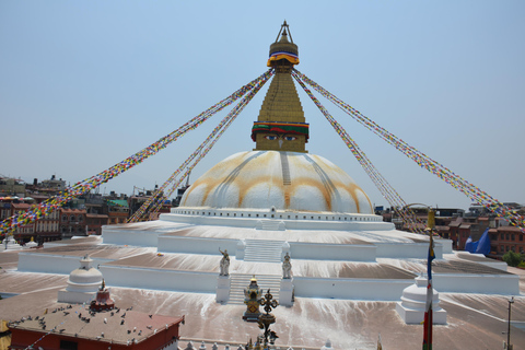 Tour della città di Kathmandu in auto privata.