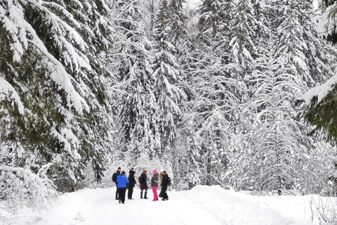 Vanuit Tallinn: Lahemaa Nationaal Park 3 Waterval Wandeling
