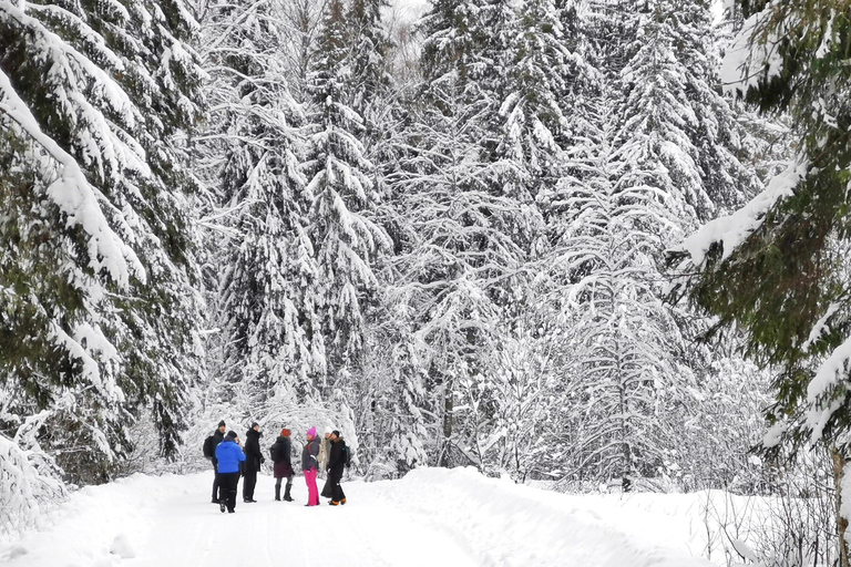 Vanuit Tallinn: Lahemaa Nationaal Park 3 Waterval Wandeling