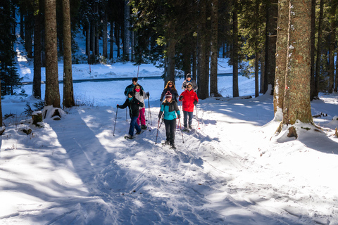 From Ljubljana/Bled: Beginner Snowshoe in Julian Alps From Bled - pickup at your accommodation