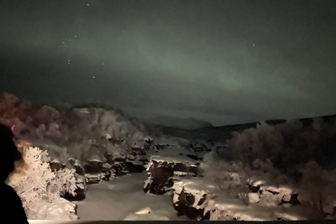 Excursión en minibús a la aurora boreal en el Parque Nacional de Abisko