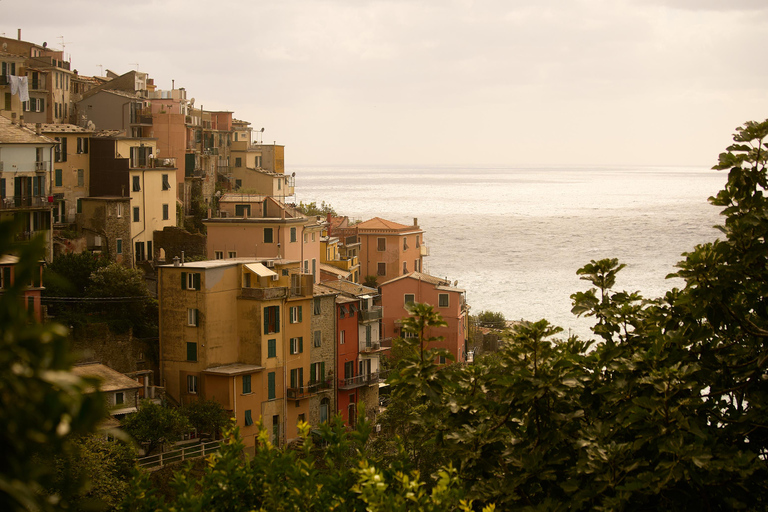 From Florence: Cinque Terre Day Trip with stop in Pisa Cinque Terre: Semi-Private Tour