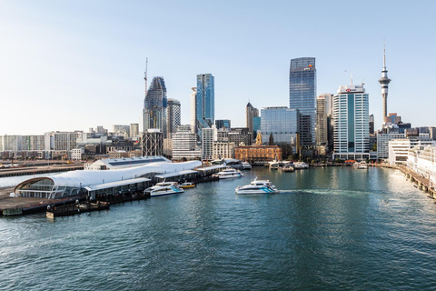 Auckland: Crucero panorámico por el puerto