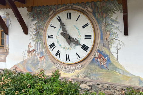 From Basel: Black Forest, Alsace & Colmar Private Day Trip