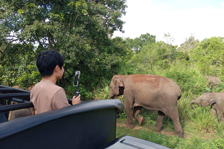 Wildlife experience at Minneriya National Park Safari