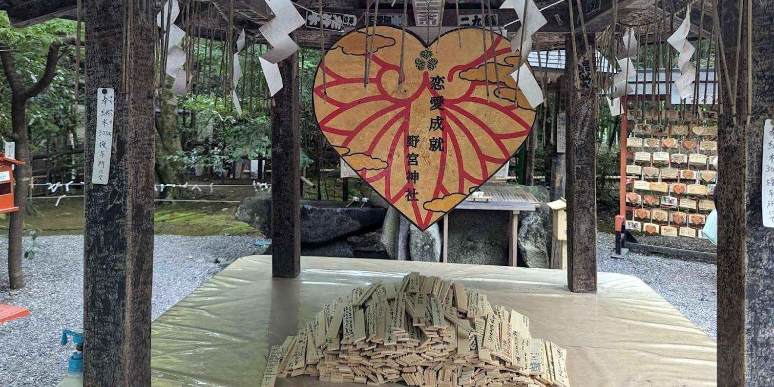 Kyoto experience — temples, geisha, bamboo grove — image 37