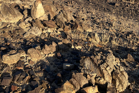Desde Yeda: Caminata guiada por el Valle de la Luna con meditaciónDesde Yeda: Excursión guiada por el Valle de la Luna con meditación