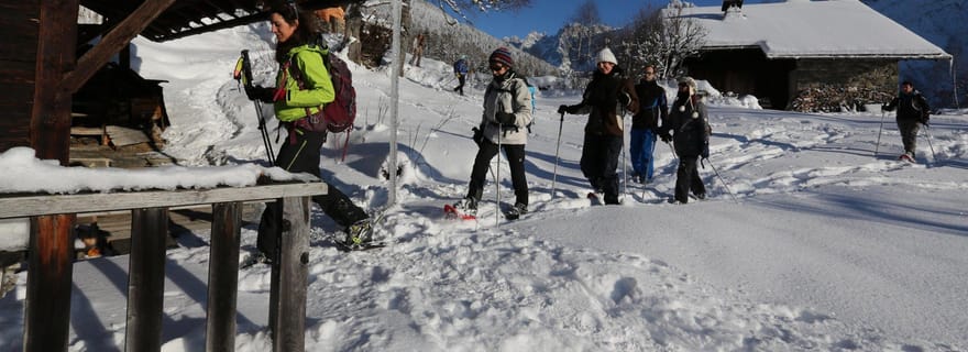 Chamonix Mont-Blanc - Randonnée Raquette , Traite , Repas Raclette