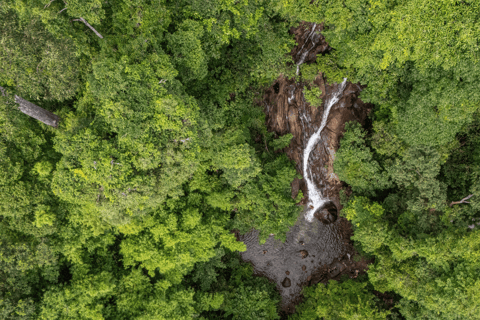 Khao Lak: Elephant Camp, Bamboo Rafting, and Waterfall Tour