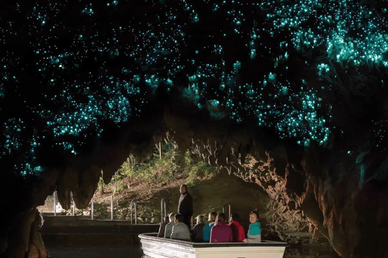 Private Day Tour: Waitomo Glowworms & Hobbiton Movie Set