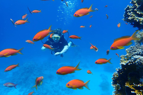 Hurghada: Beginner Diving Trip with Lunch, Transfer & Gear Boat Cruise with 2 Snorkeling Sites with Lunch & Transfer