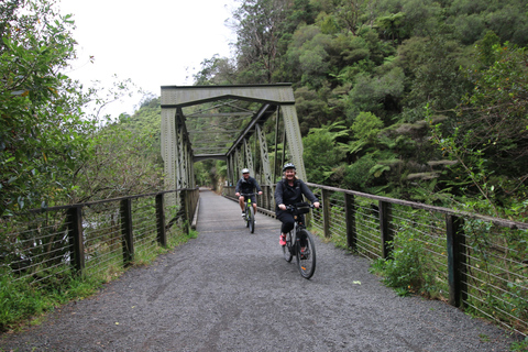 Excursión en Ebike de día completo - Garganta de Karangahake NZ