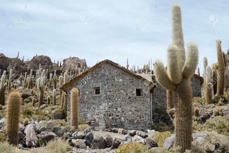 Privé dagtrip naar Salar de Uyuni