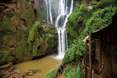 Marrakesh: Ouzoud Falls &amp; Mountain Guided Hike &amp; Boat Ride