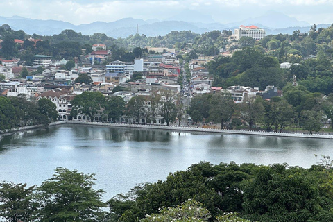 Kandy: Private Tuk Tuk Tour with Tea Tasting & Village Visit