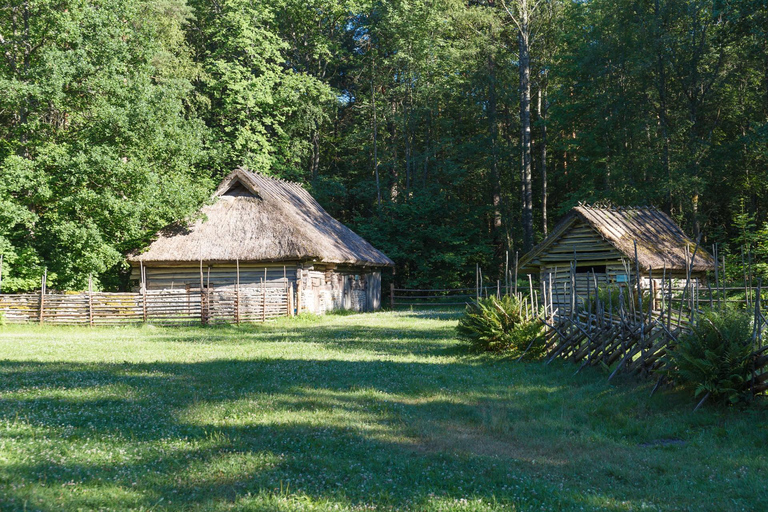 Skip-the-Line Estonian Open Air Museum Private Guided Tour 2-hour: Estonian Art Museum Tour